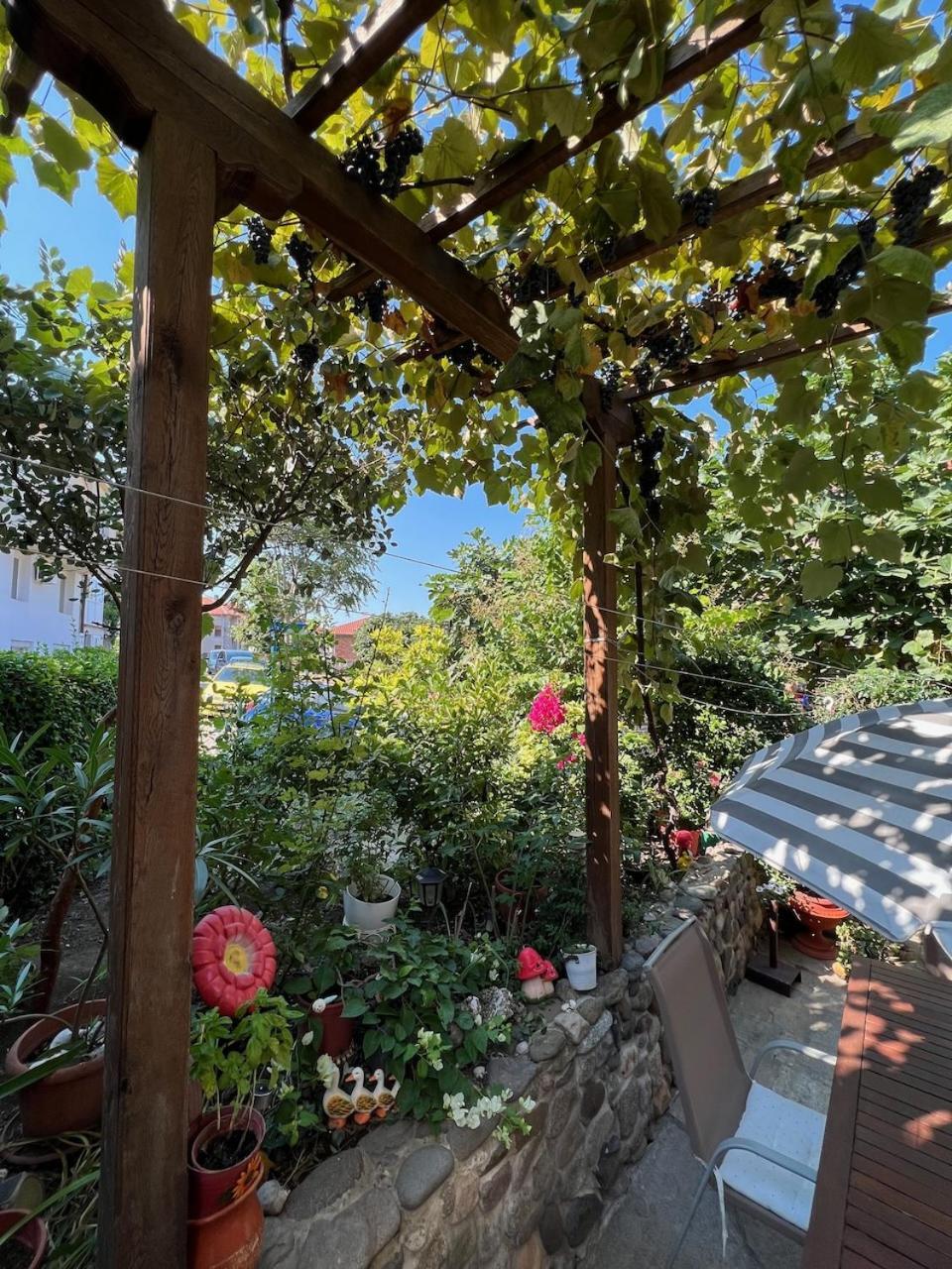 Family Hotel Emilia Sozopol Exterior foto