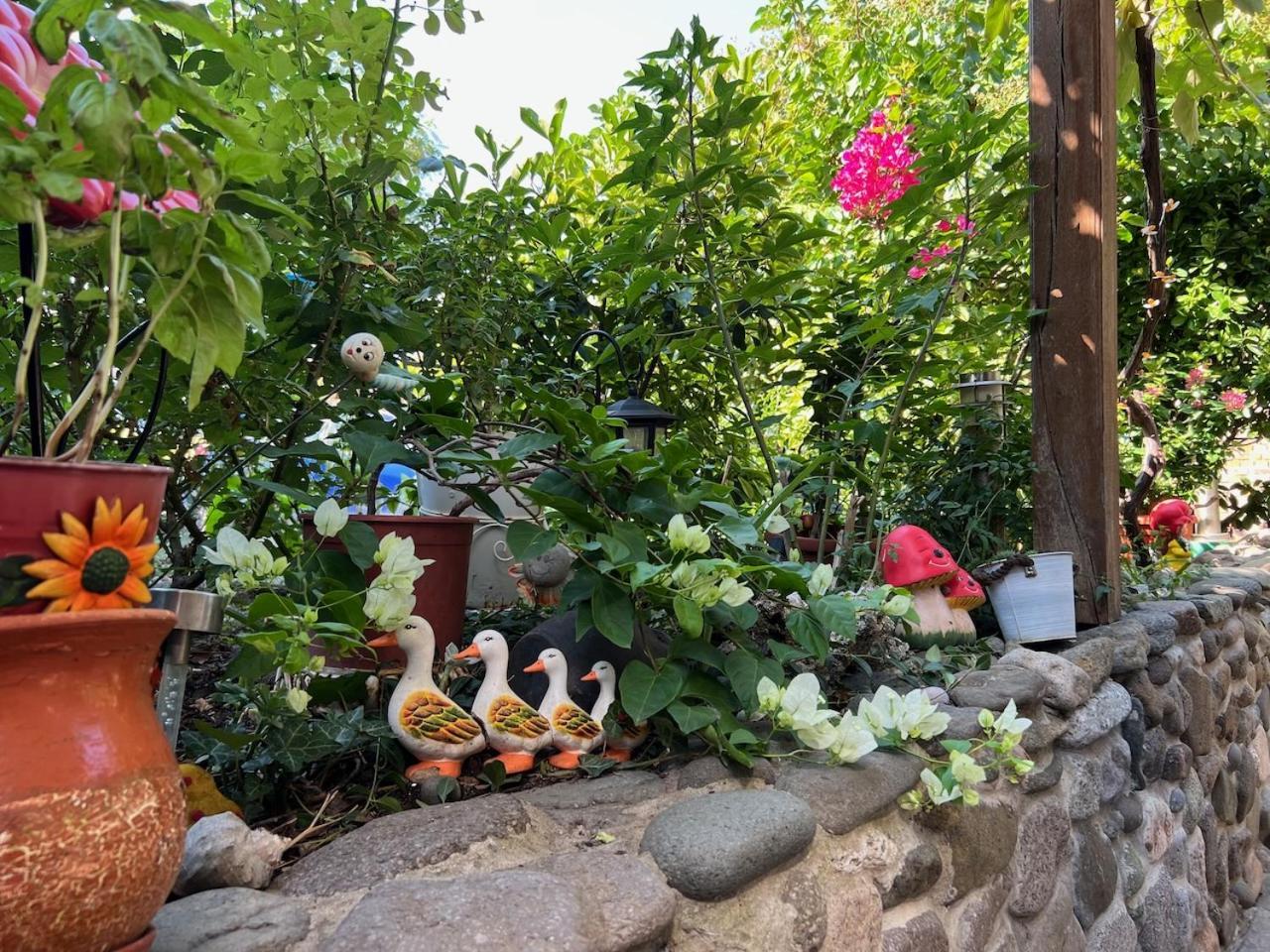Family Hotel Emilia Sozopol Exterior foto