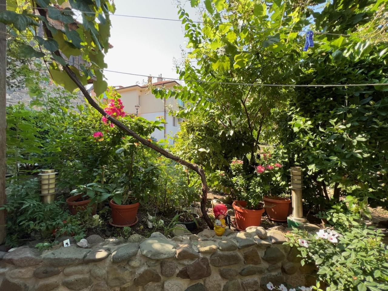Family Hotel Emilia Sozopol Exterior foto